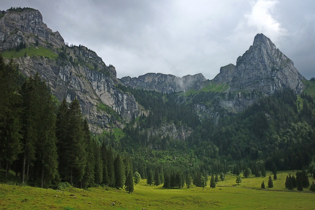 Typisch für die Ammergauer Alpen Wald, Wiese und Fels...