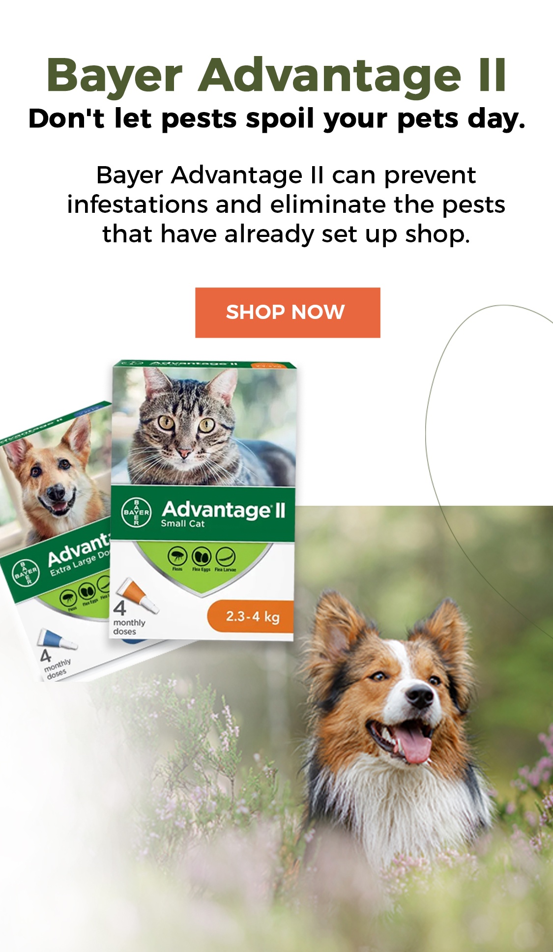 How To Treat Dog Lice Naturally