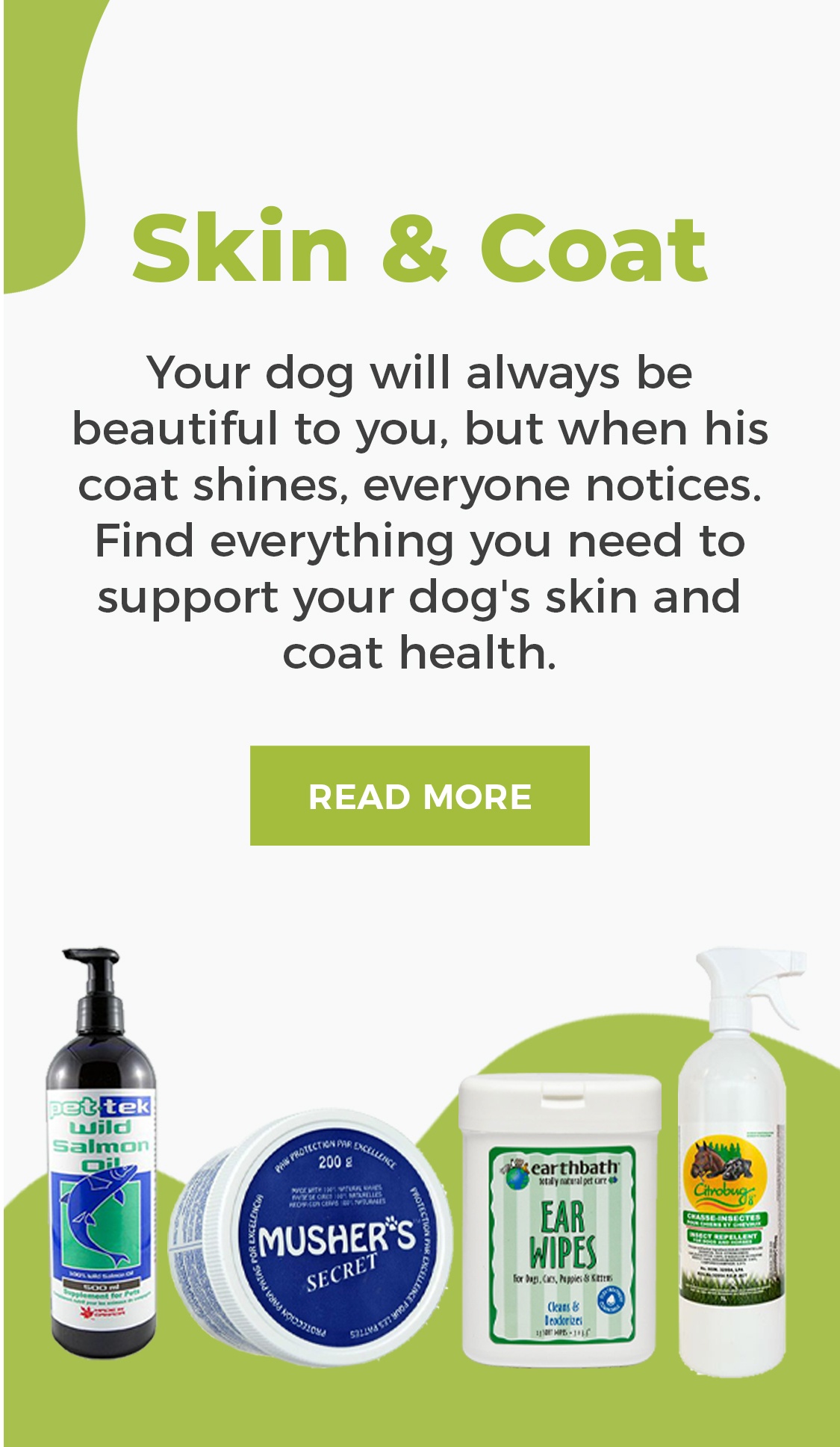 Types Of Skin Allergies In Dog Possible Causes Treatment At Home Dogsee