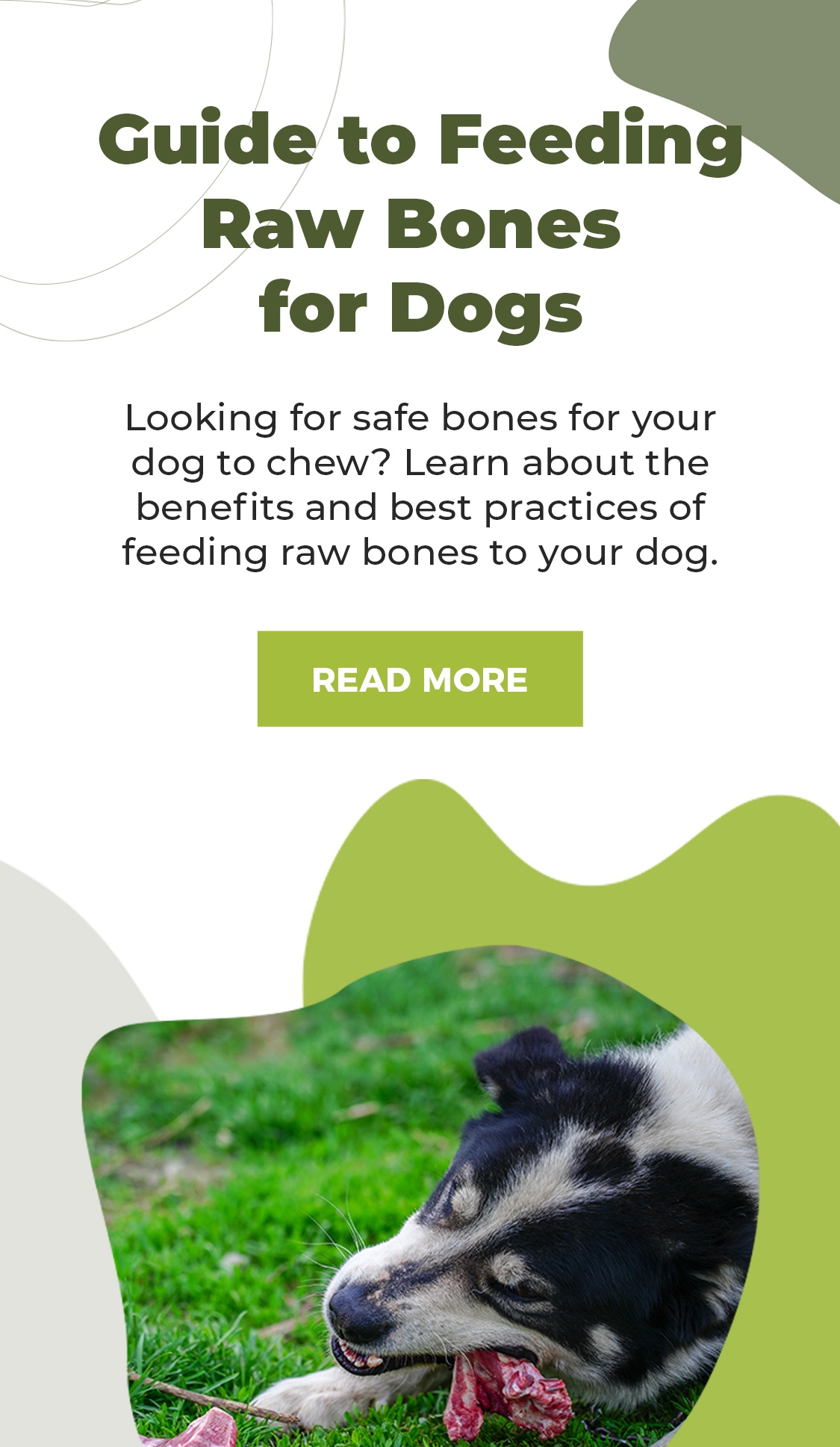 Can Puppies Have Rawhide Bones