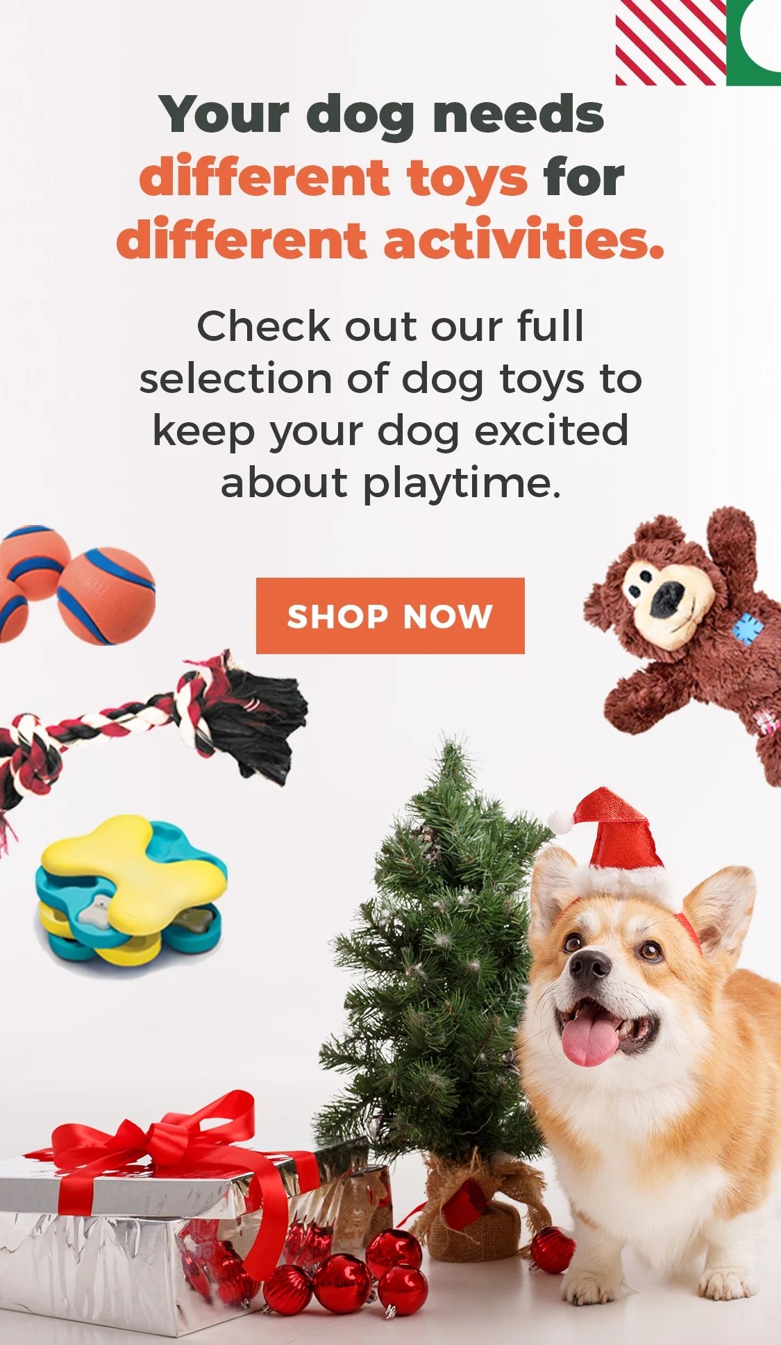 washing dog toys with vinegar Teressa Ulrich