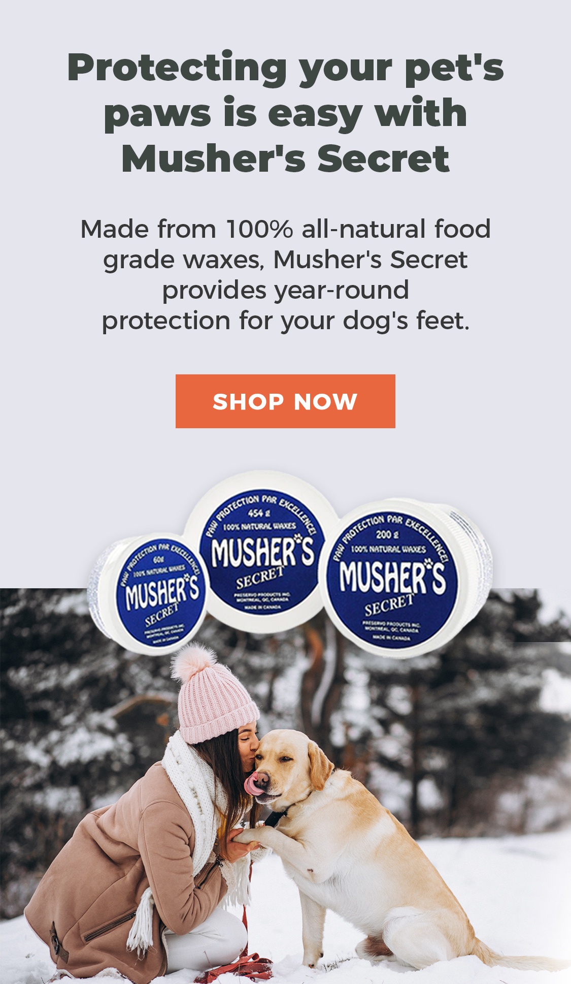 Do Dogs Need Paw Protection Snow