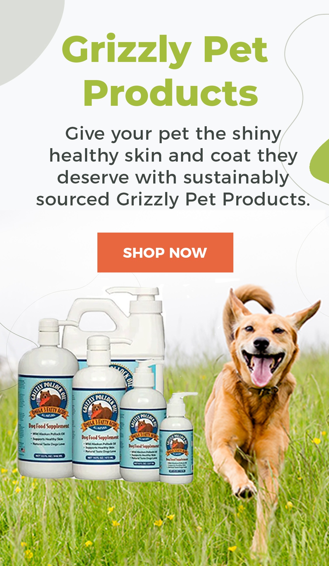 Are Omega 3 Good For Dogs