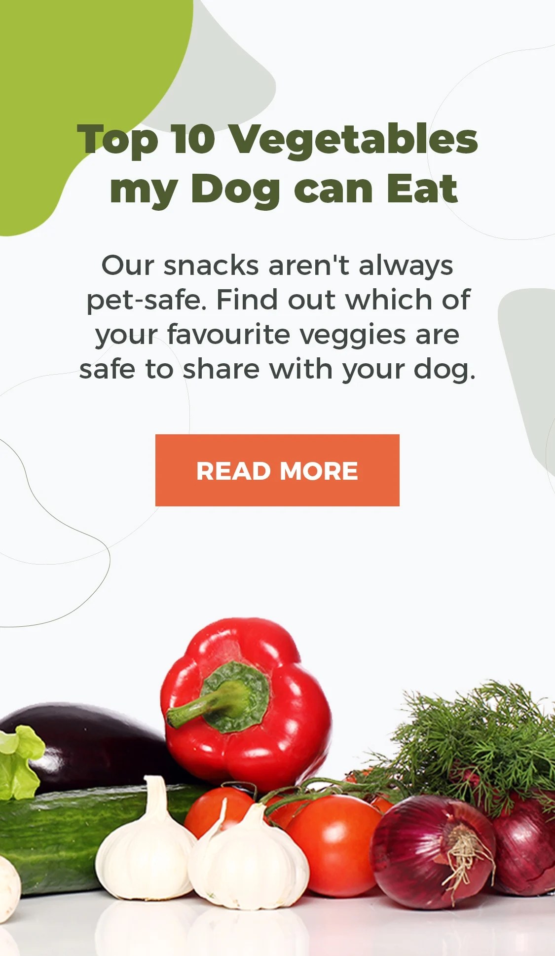 Do Dogs Need Grains And Vegetables