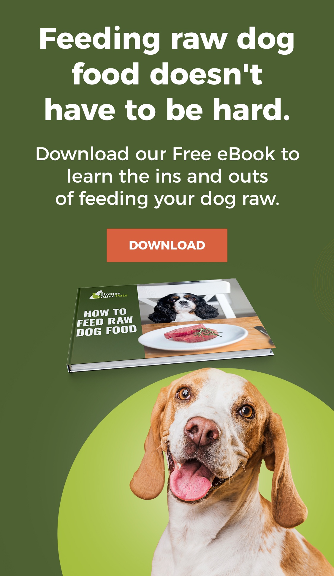 Does An Egg Help A Dogs Coat