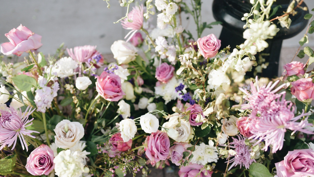 Bolethe Knudsen Wholesale Flowers Phoenix Az Arizona Flower Market