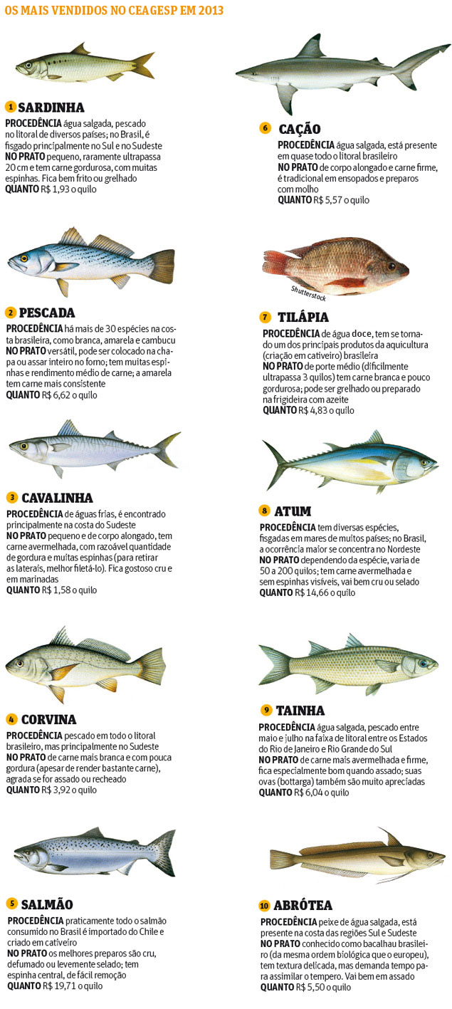 Para elevar consumo de peixe, é preciso superar 'medo' no preparo 02