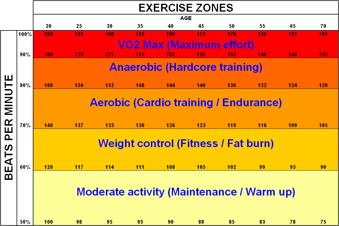 ถ้าลดความอ้วนด้วย Heart Rate โซนสูง 1 ชั่วโมง กับ Heart Rate โซนต่ำ 2