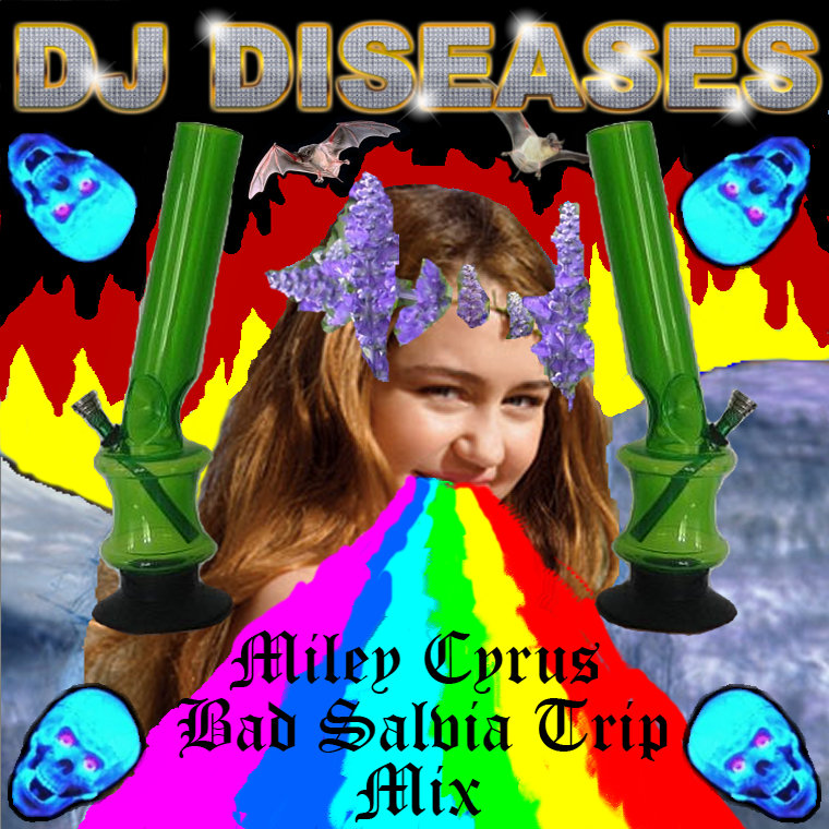 Miley Cyrus Bad Salvia Trip Mix B DJ Diseases
