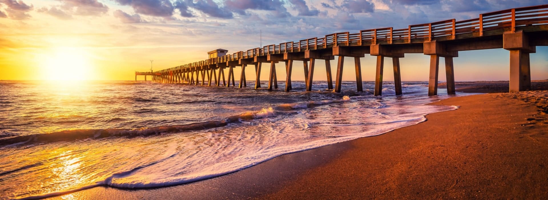 Venice Pest Control Local Venice Exterminator