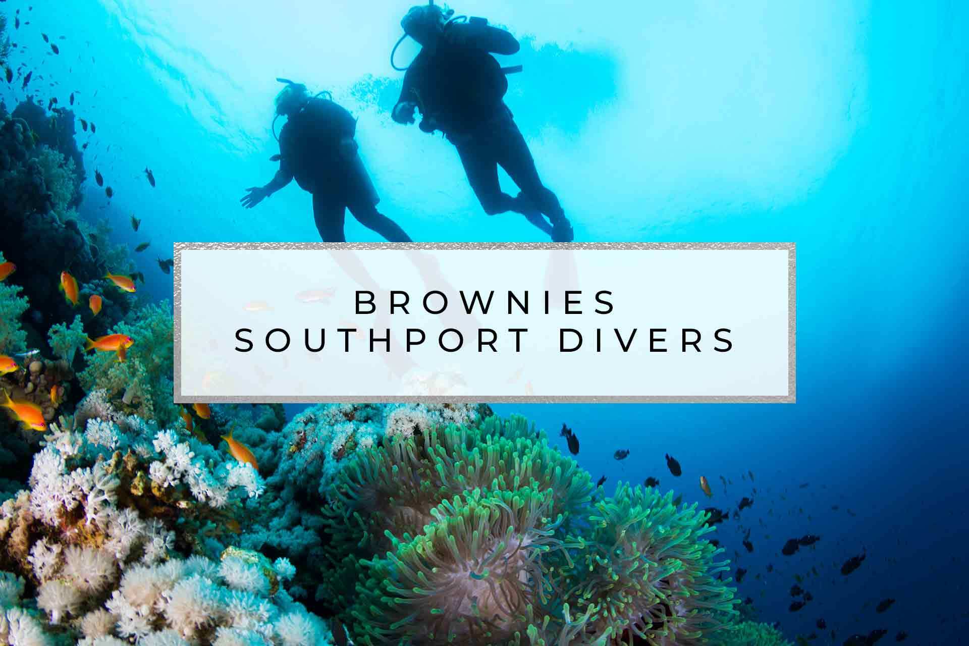 BROWNIES SOUTHPORT DIVERS F3 Marina FL Fort Lauderdale