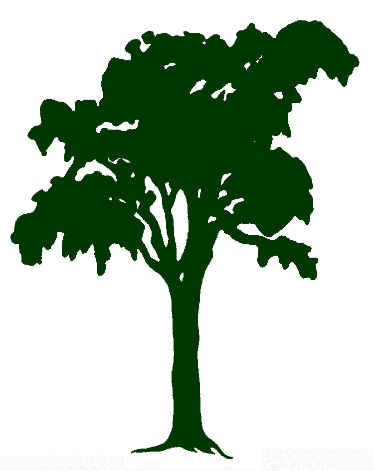 Brian Mooney The Putney School Summer Programs