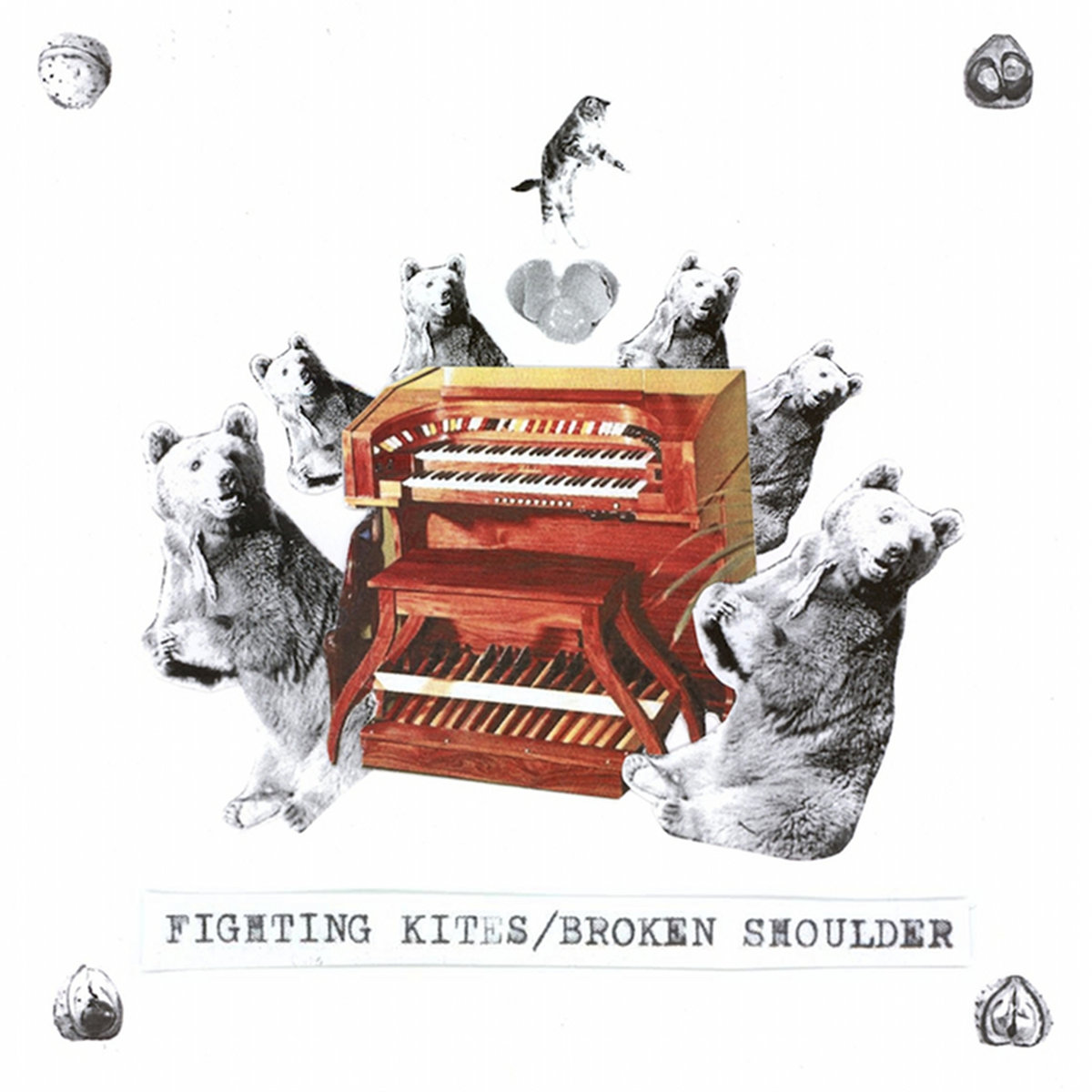 Fighting Kites Fighting Kites