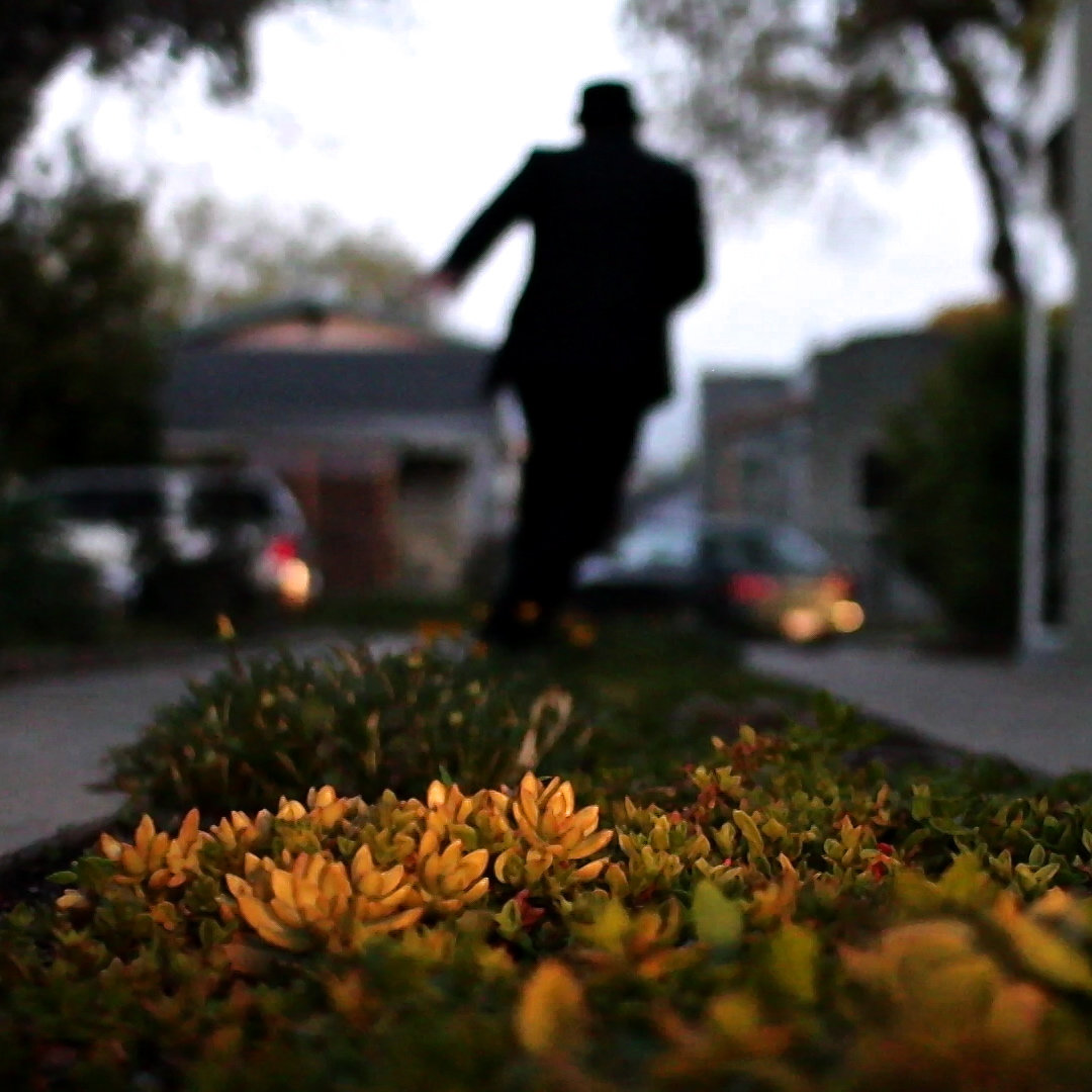 The Fantastic Toes The Fantastic Toes