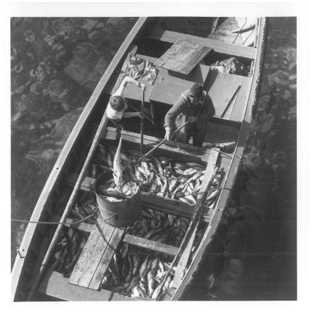 POUCH COVE OUR HOME BY THE SEA Pouch Cove Heritage Committee