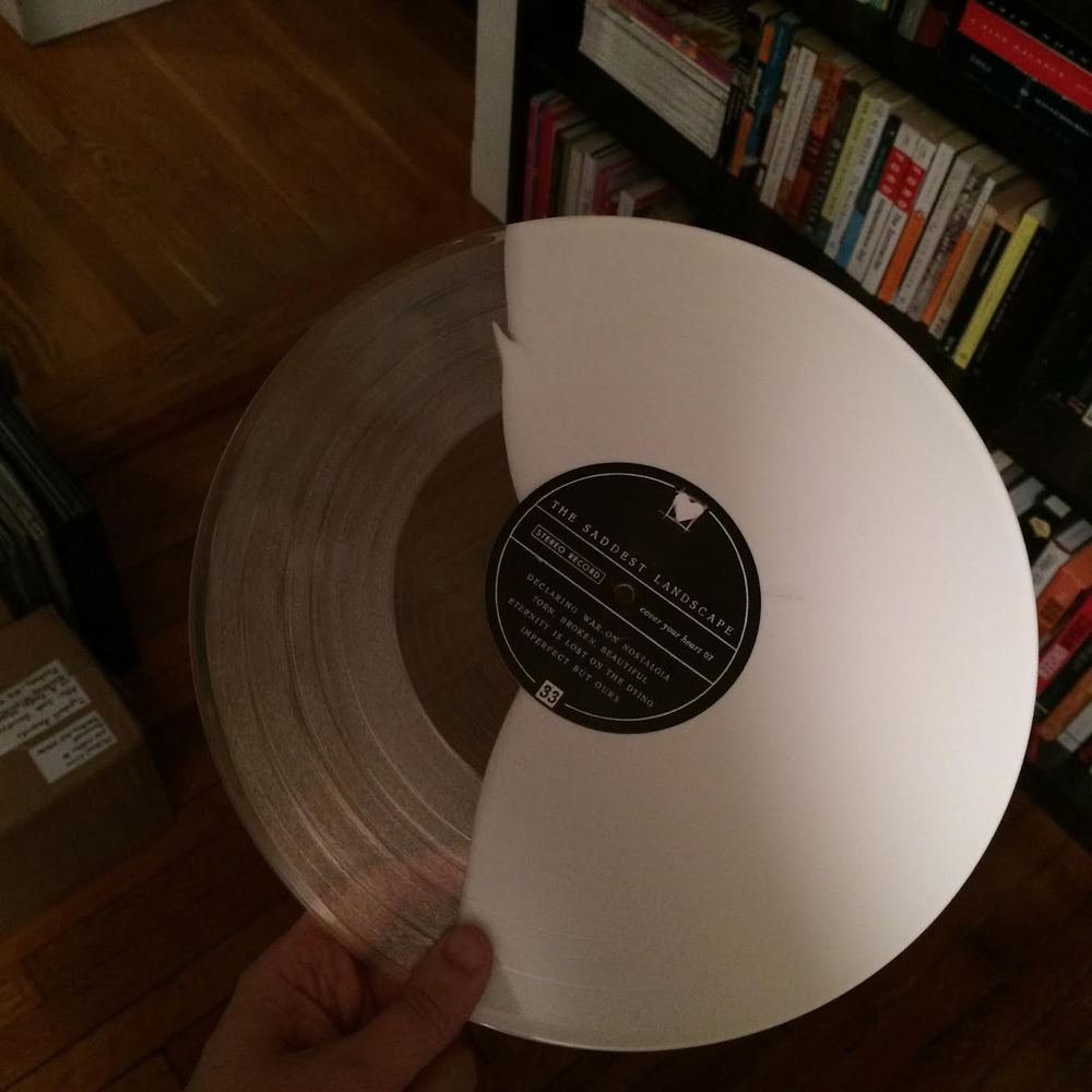 You Will Not Survive The Saddest Landscape