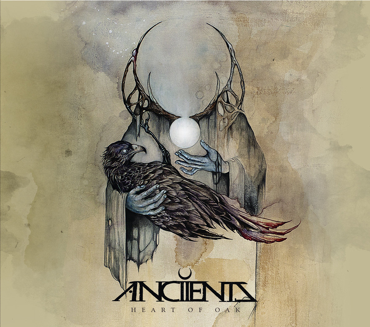 Heart of Oak ANCIIENTS