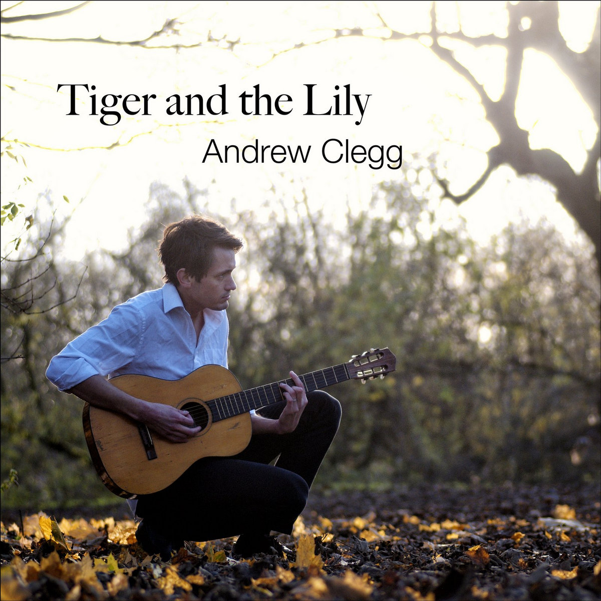 Tiger and the Lily Andrew Clegg