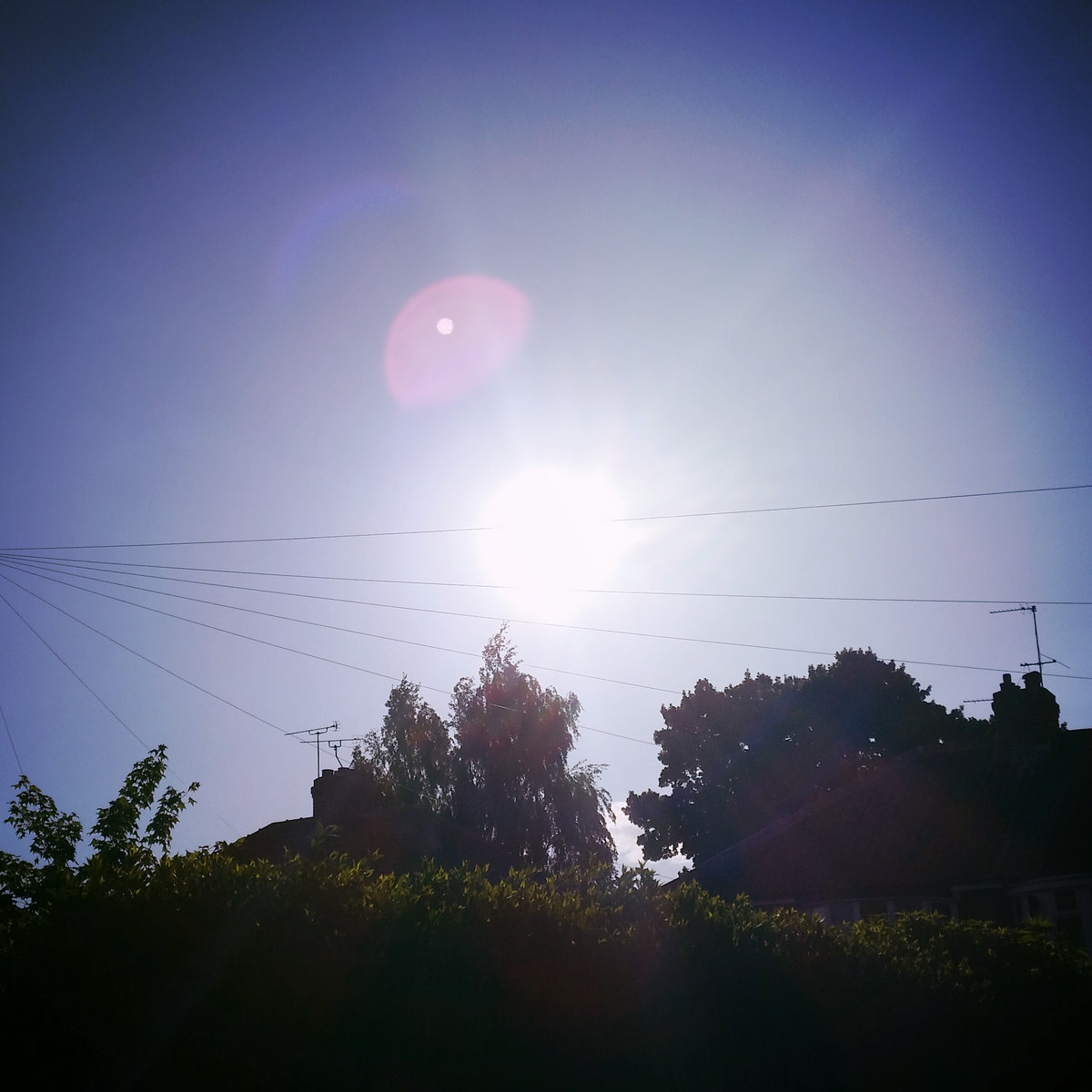 Dimensions Blurry Words