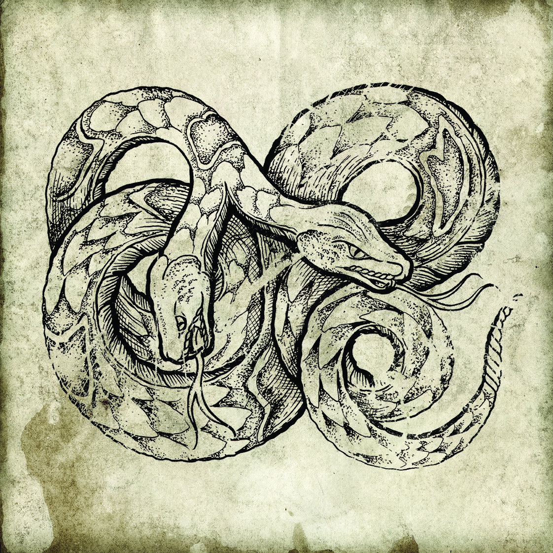 Snake Oil The White Rattlesnake