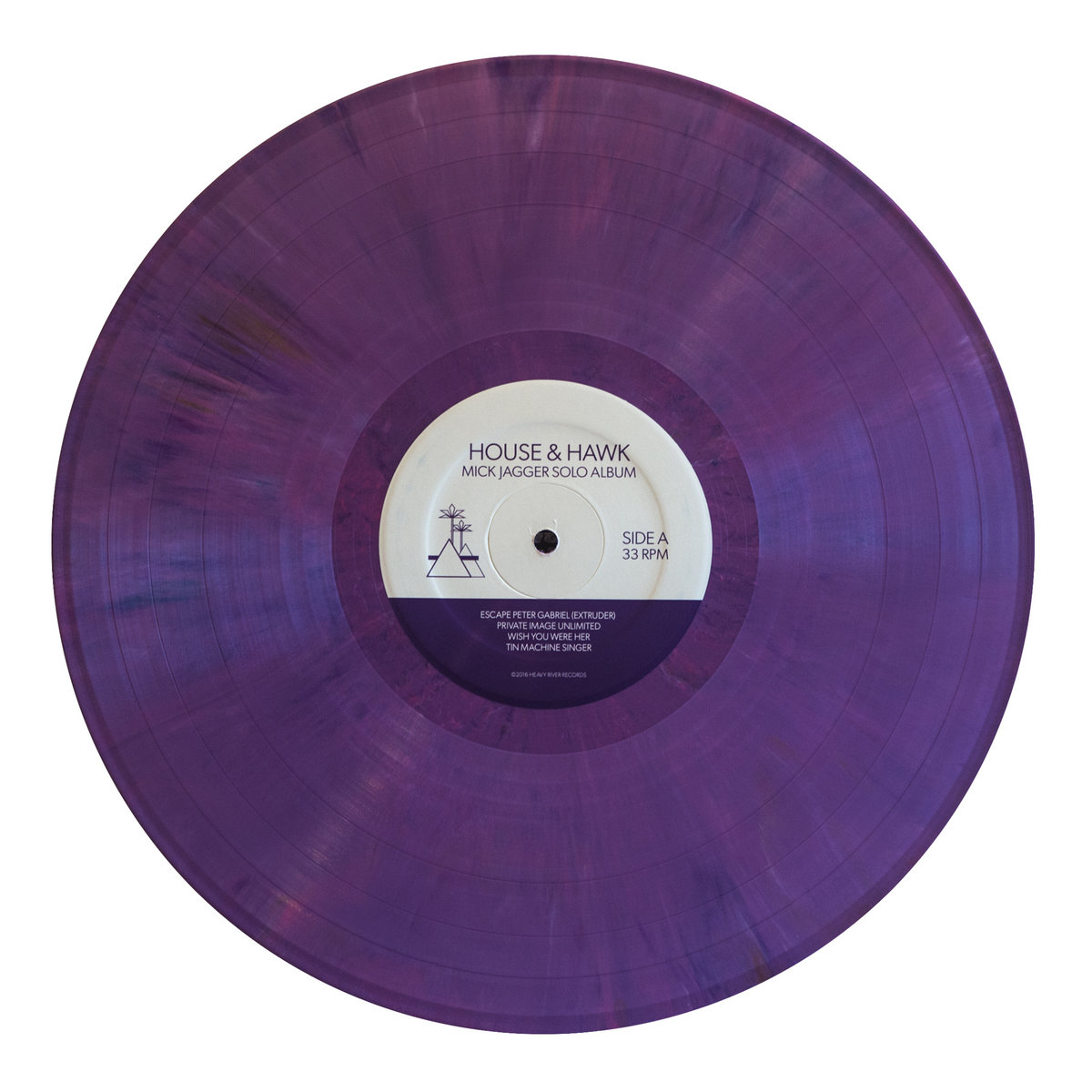 Mick Jagger Solo Album House & Hawk