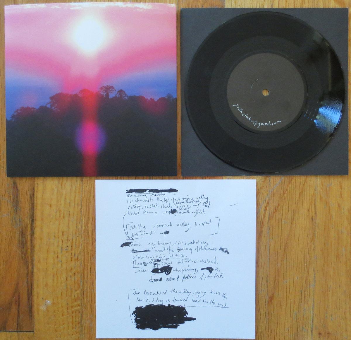 Paradise Valley Grouper