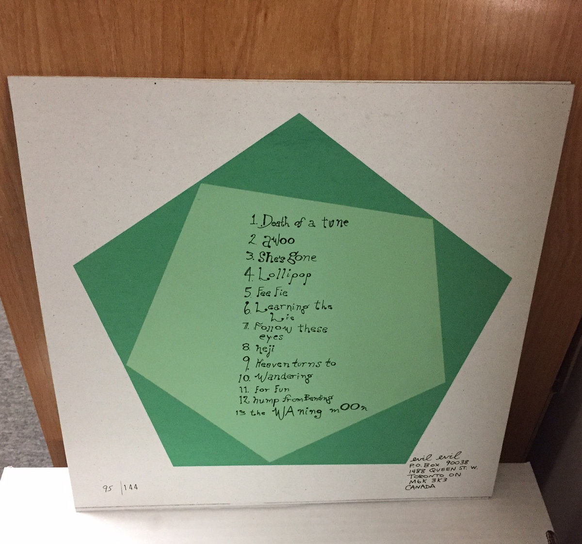 Awoo LP Third Edition The Hidden Cameras