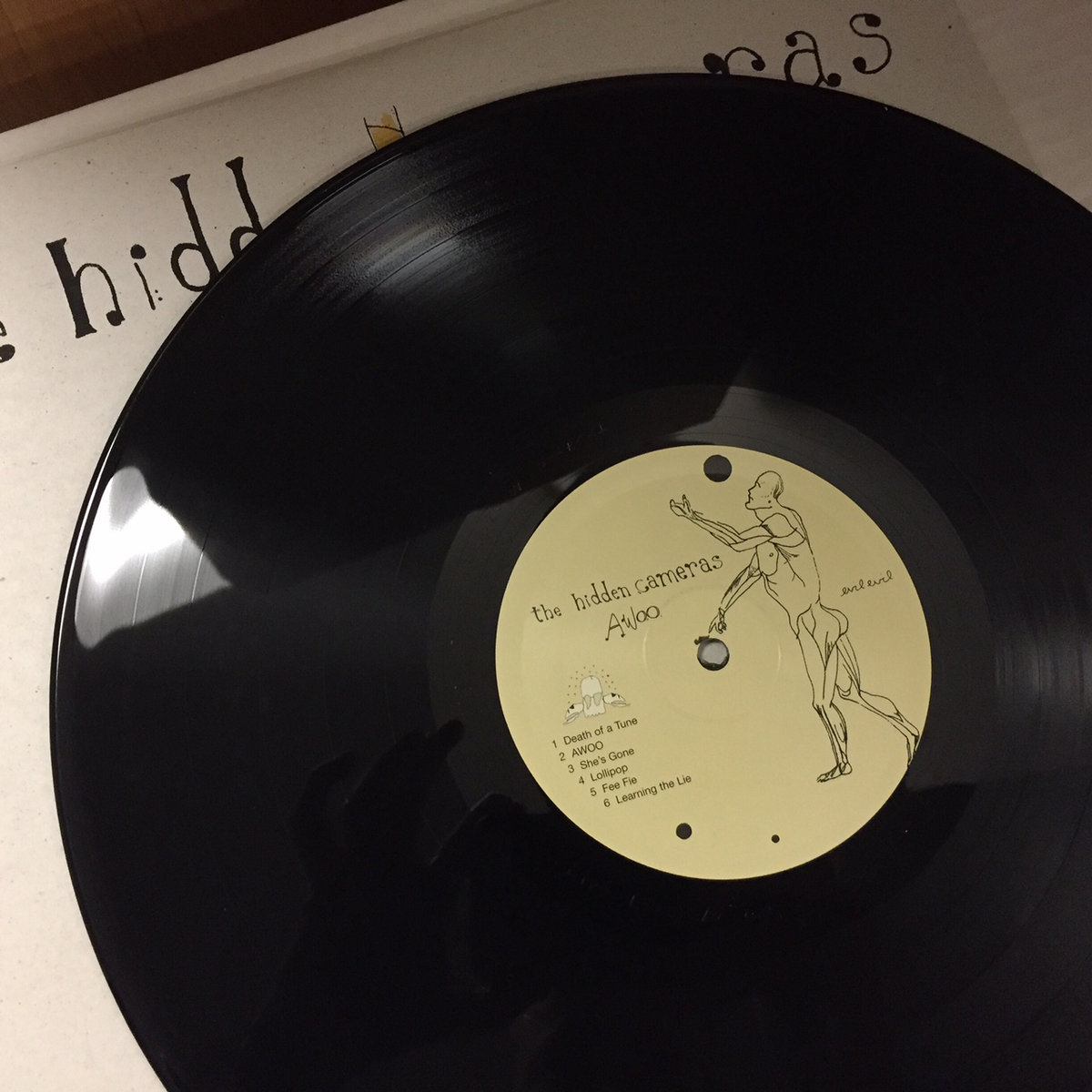 Awoo LP Third Edition The Hidden Cameras