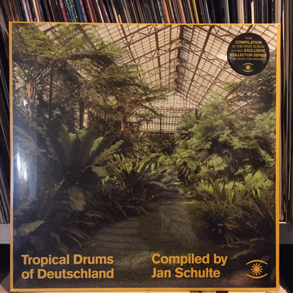Tropical Drums of Deutschland Jan Schulte