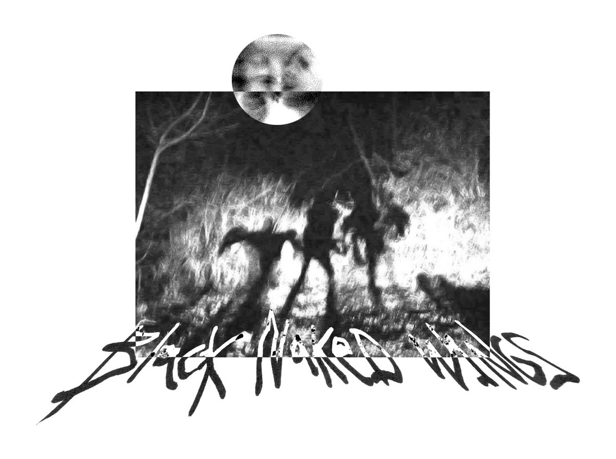 demonstration | Black Naked Wings