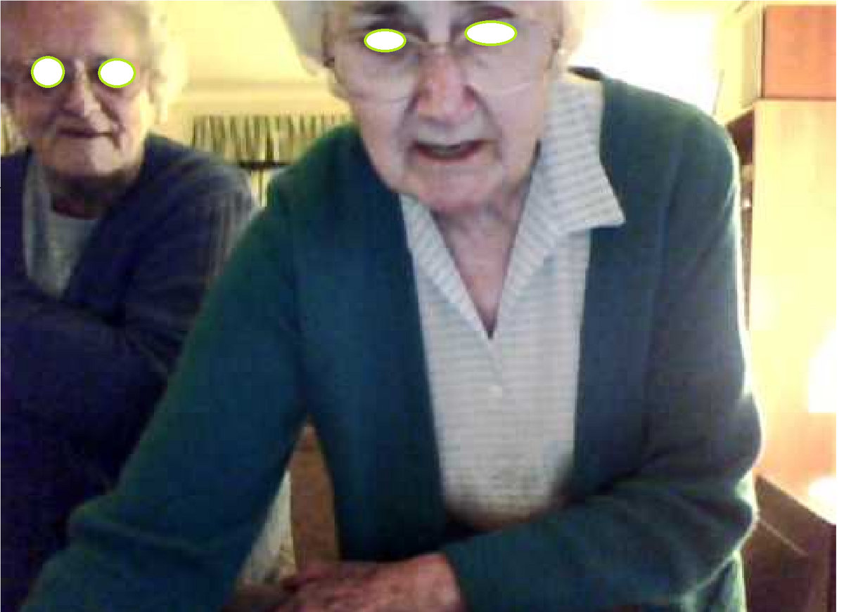 Nan's Sunday Dinner Gushing Grannies