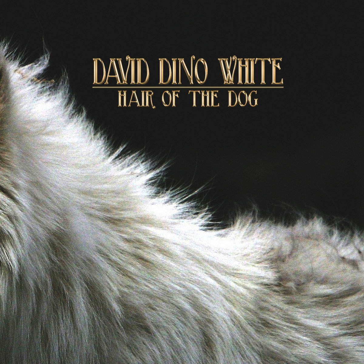 Hair Of The Dog Album Uphairstyle