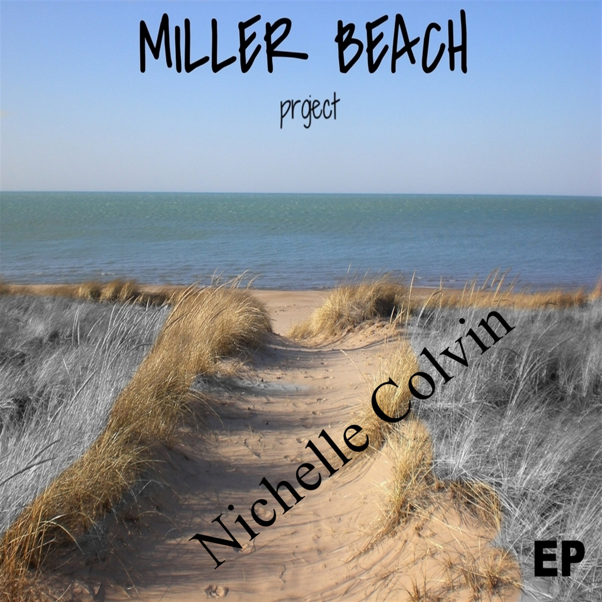 Miller Beach Project Nichelle Colvin