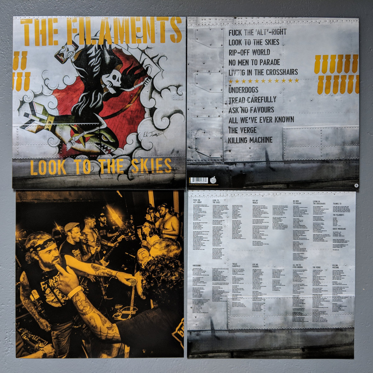 Look To The Skies The Filaments