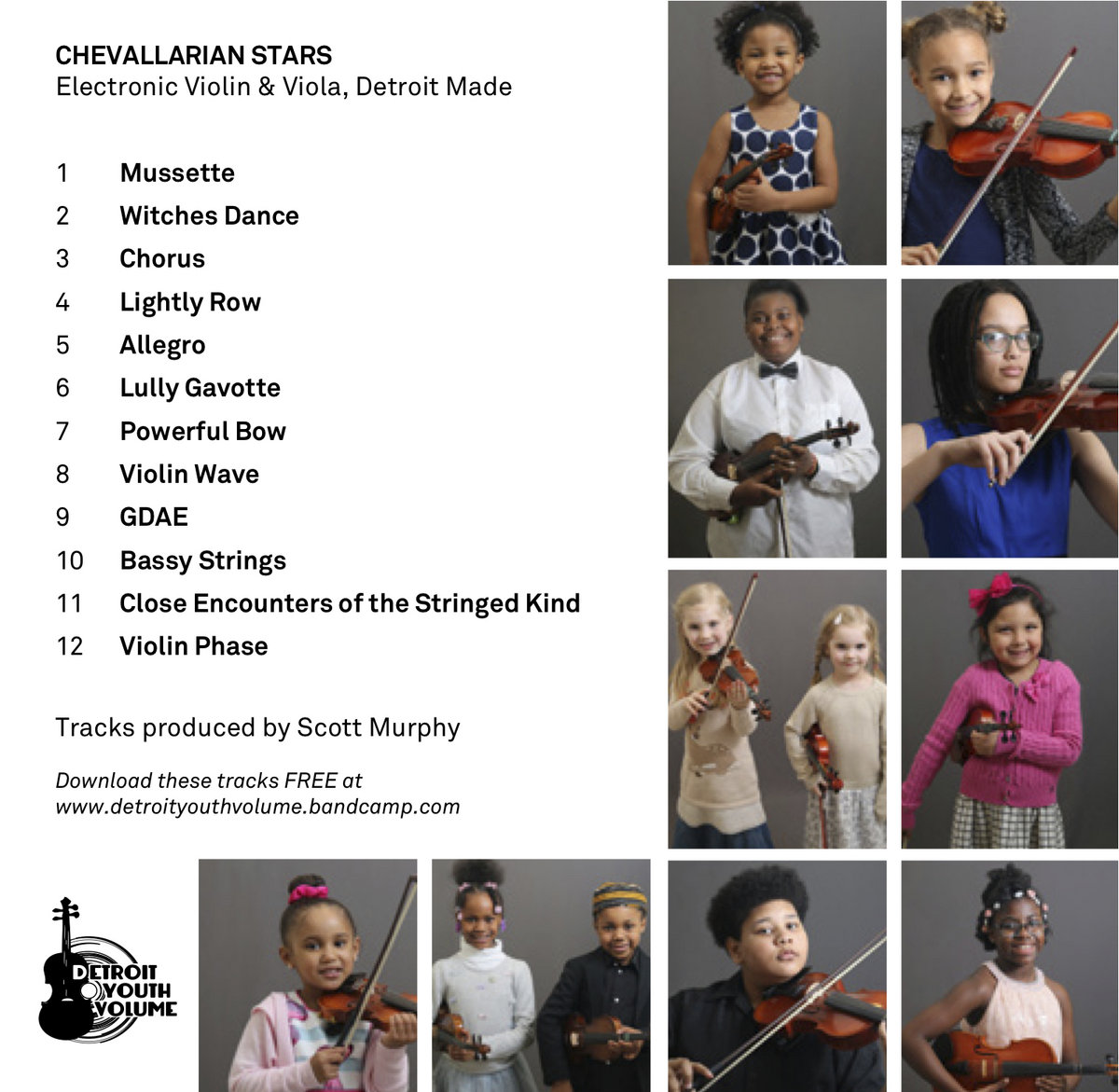 Chevallarian Stars Electric Violin & Viola Detroit Made