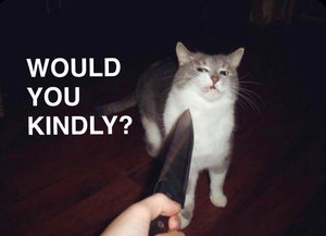 Music | Would You Kindly?