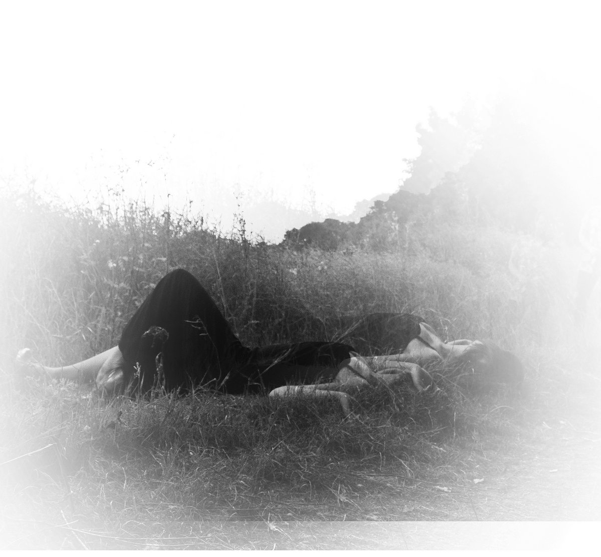 Cover Your Eyes Horse Party