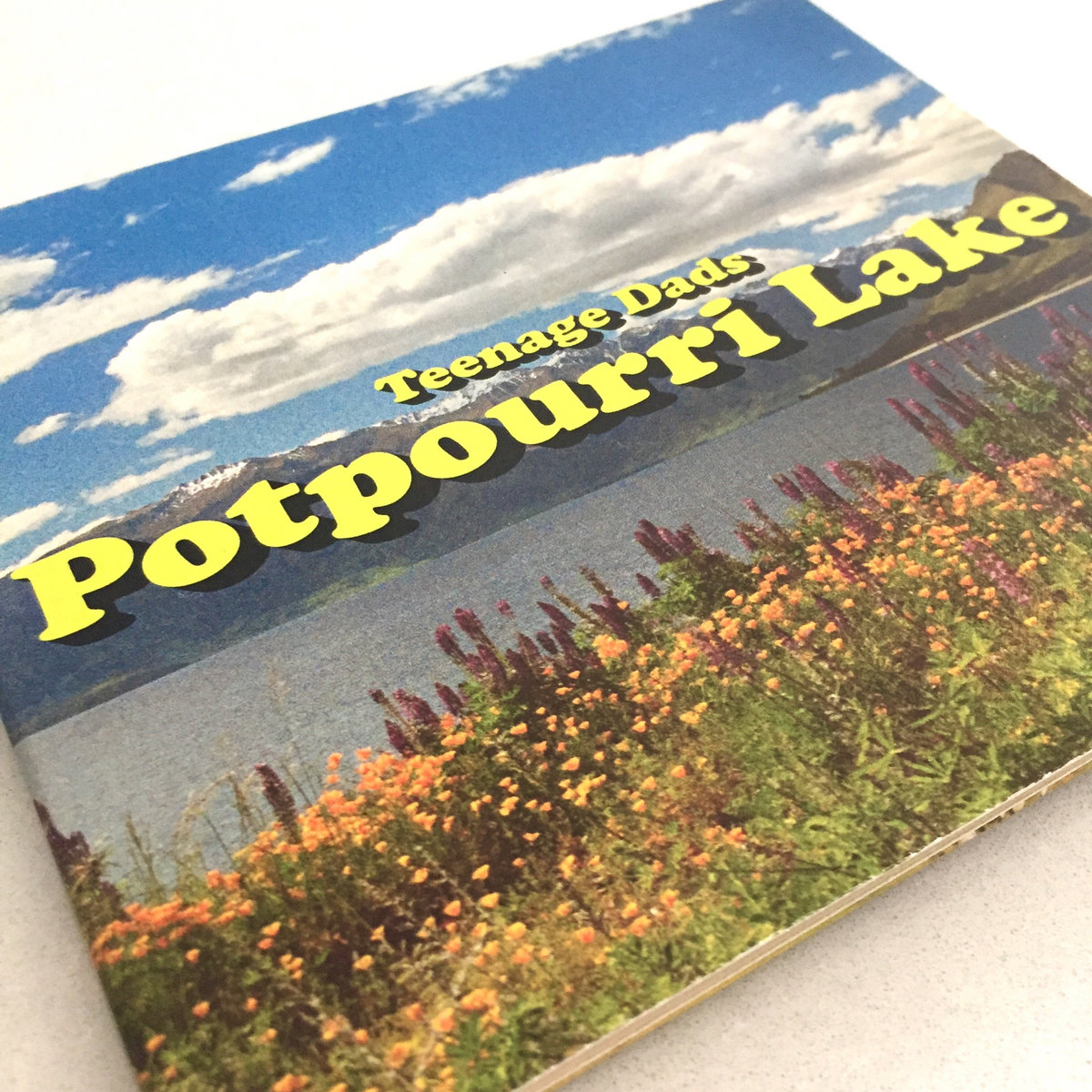 Potpourri Lake Teenage Dads