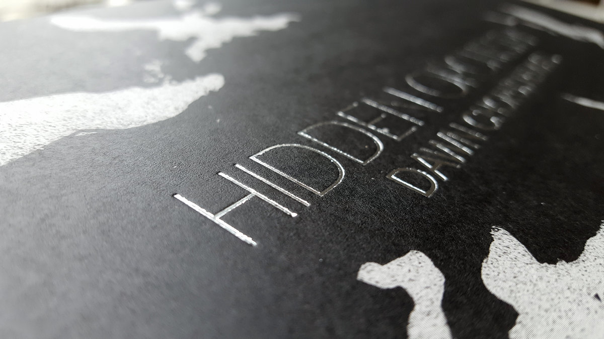 Dawn Chorus Remixes Hidden Orchestra