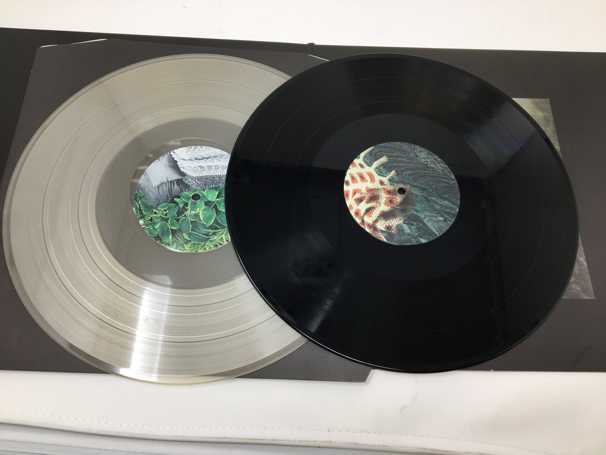 losboats' collection Bandcamp