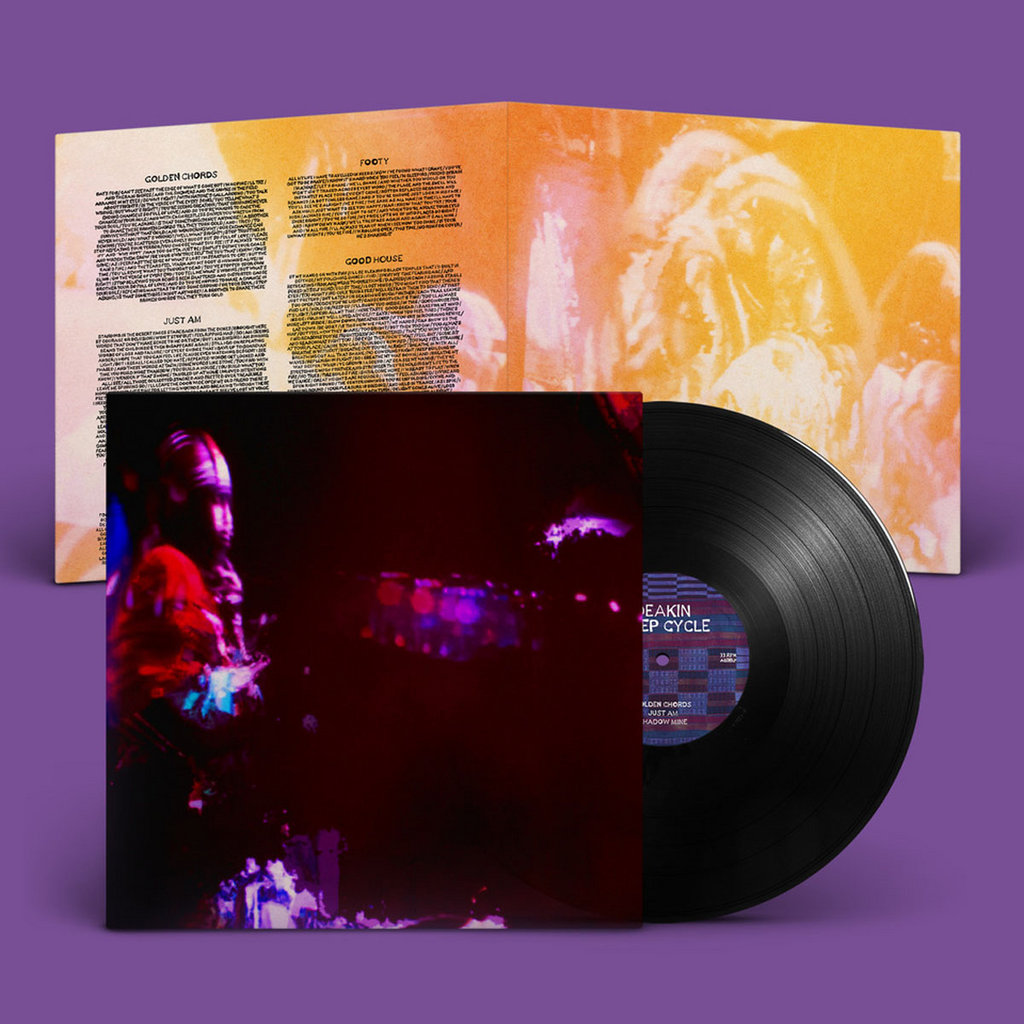 A Brief Guide to the Animal Collective Discography Bandcamp Daily