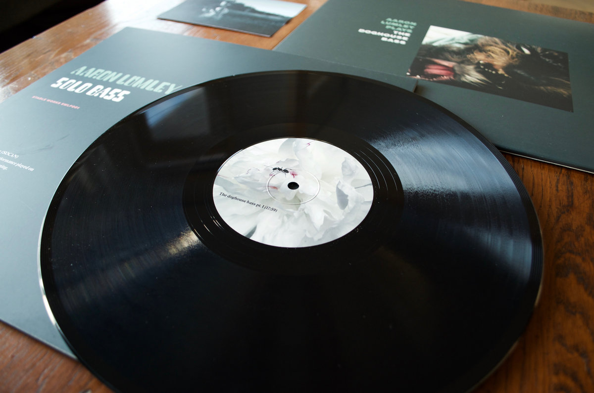 Aaron Lumley Plays the Doghouse Bass Aaron Lumley