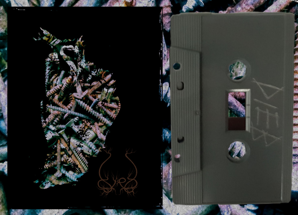 TINNITUS DEMO Dieb Room 11 Records