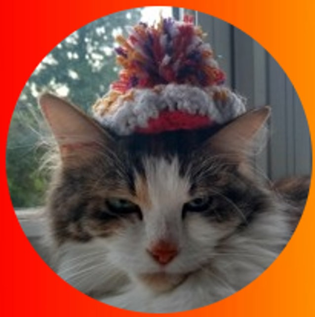 Ear Furnishings EP Airwick