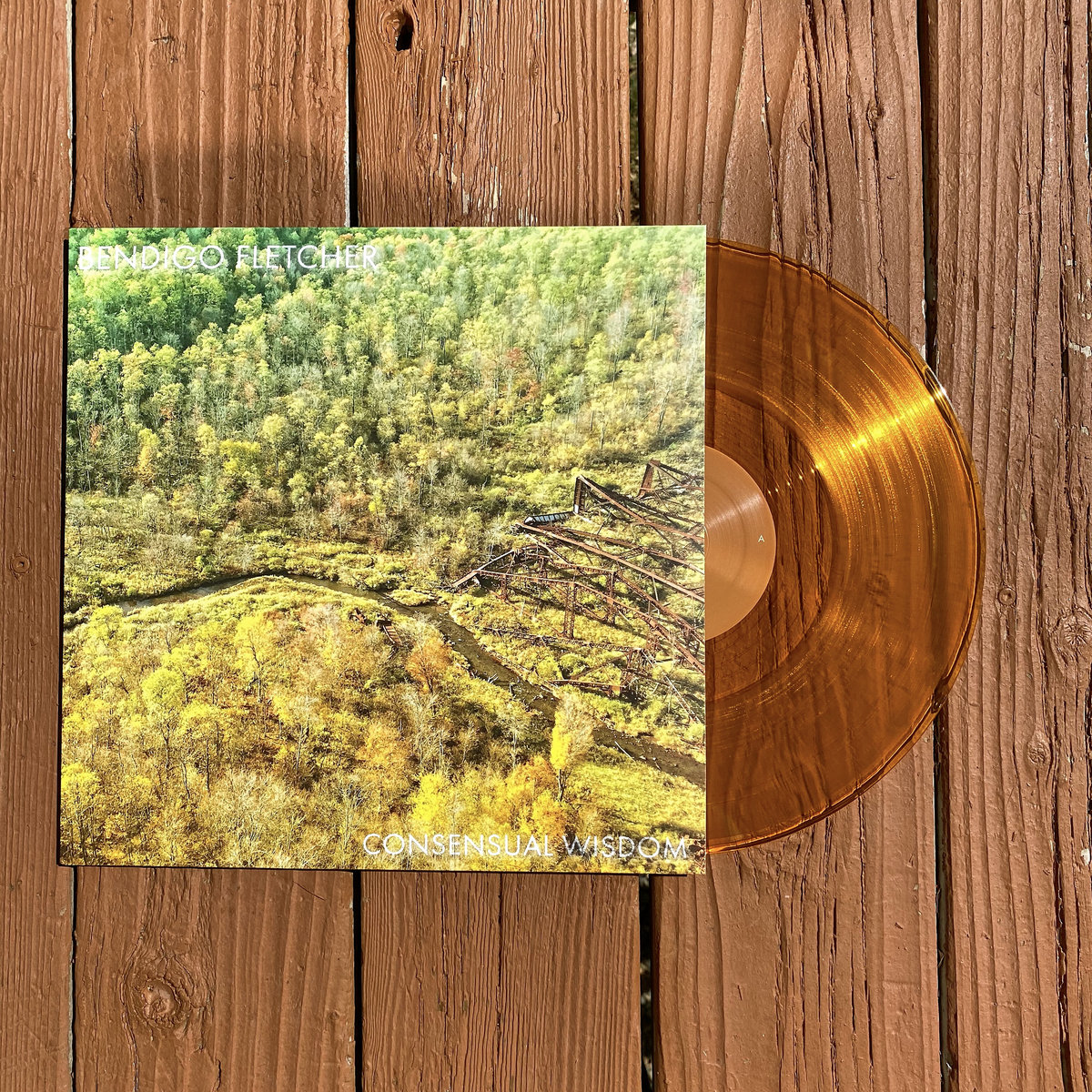 Bendigo Fletcher "Consensual Wisdom" Bendigo Fletcher Soul Step