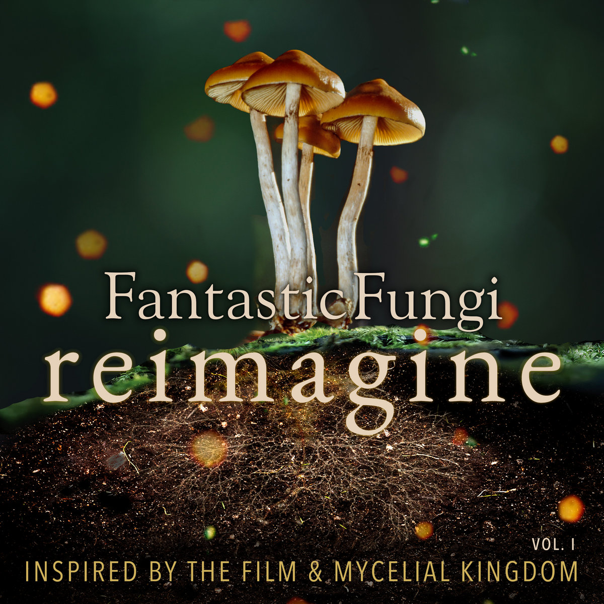 Fantastic Fungi Reimagine, Vol II Various Artists Fantastic Fungi