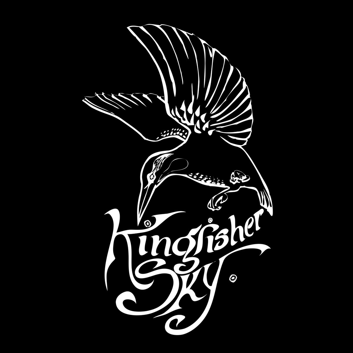 Music Kingfisher Sky