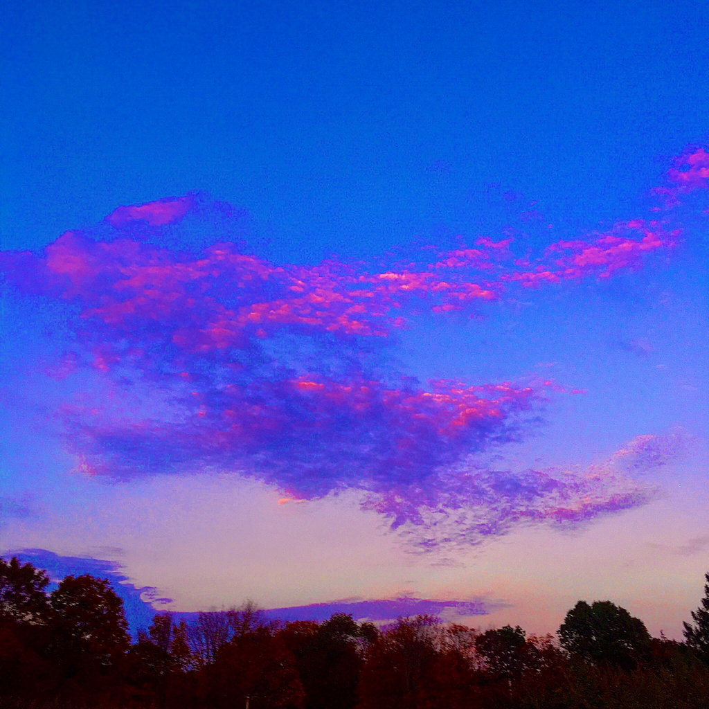 unicorns_are_fake's collection Bandcamp