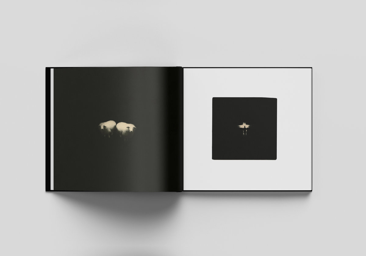 Flowers Bloom, Butterflies Come Observatories (Ian Hawgood & Craig Tattersall) IIKKI