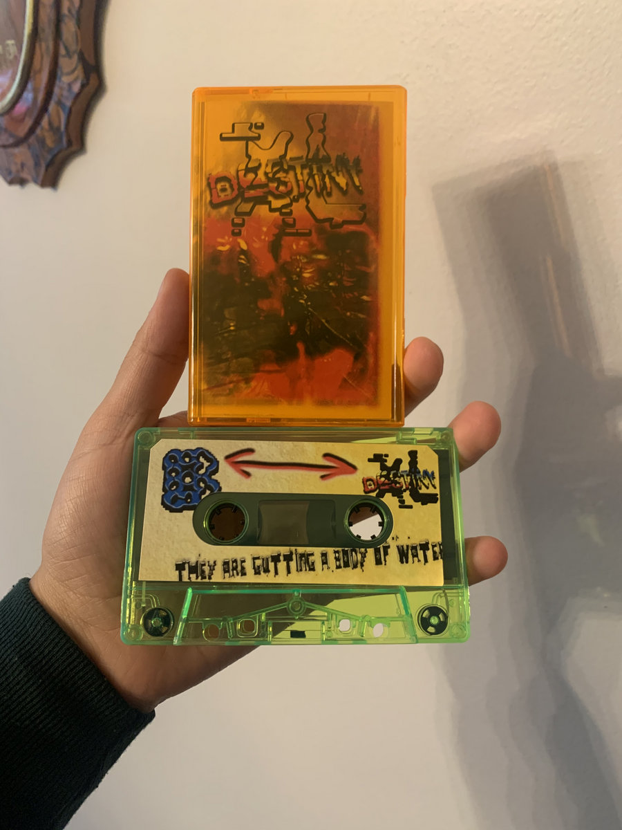 Destiny XL they are gutting a body of water Citrus City Records